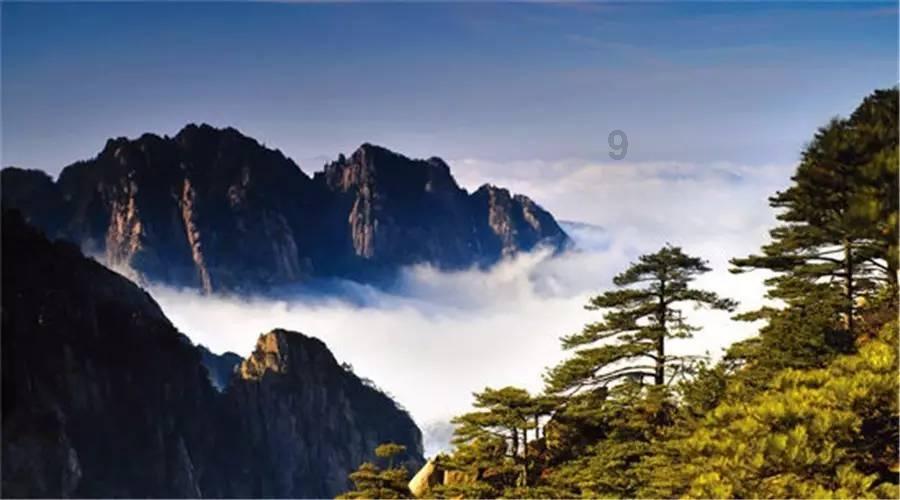 太阁立志传5