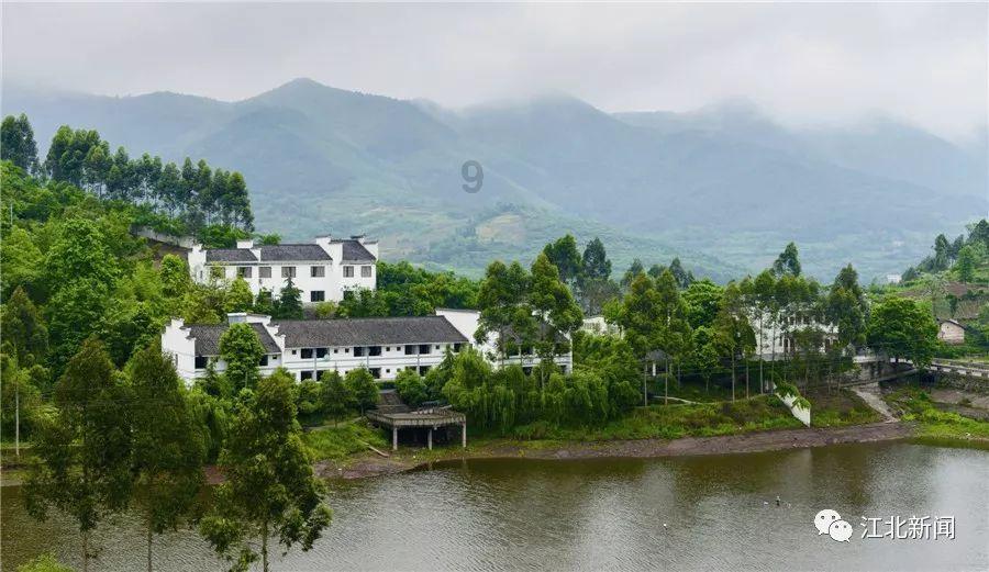 温州引进威马、正威相继失败!谁的责任?